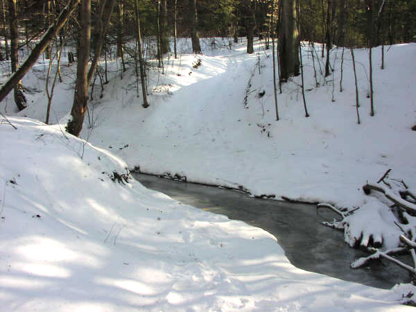 Winter Stream.jpg