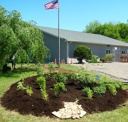 Rain Garden at Sr Center.jpg